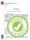 Distancia de seguridad